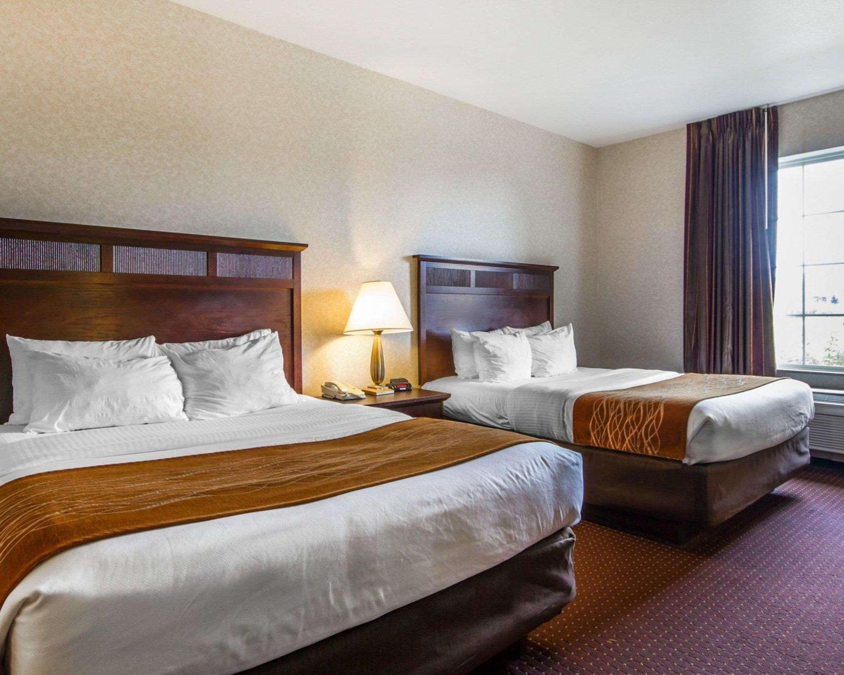 Deforest Comfort Inn & Suites Madison North מראה חיצוני תמונה