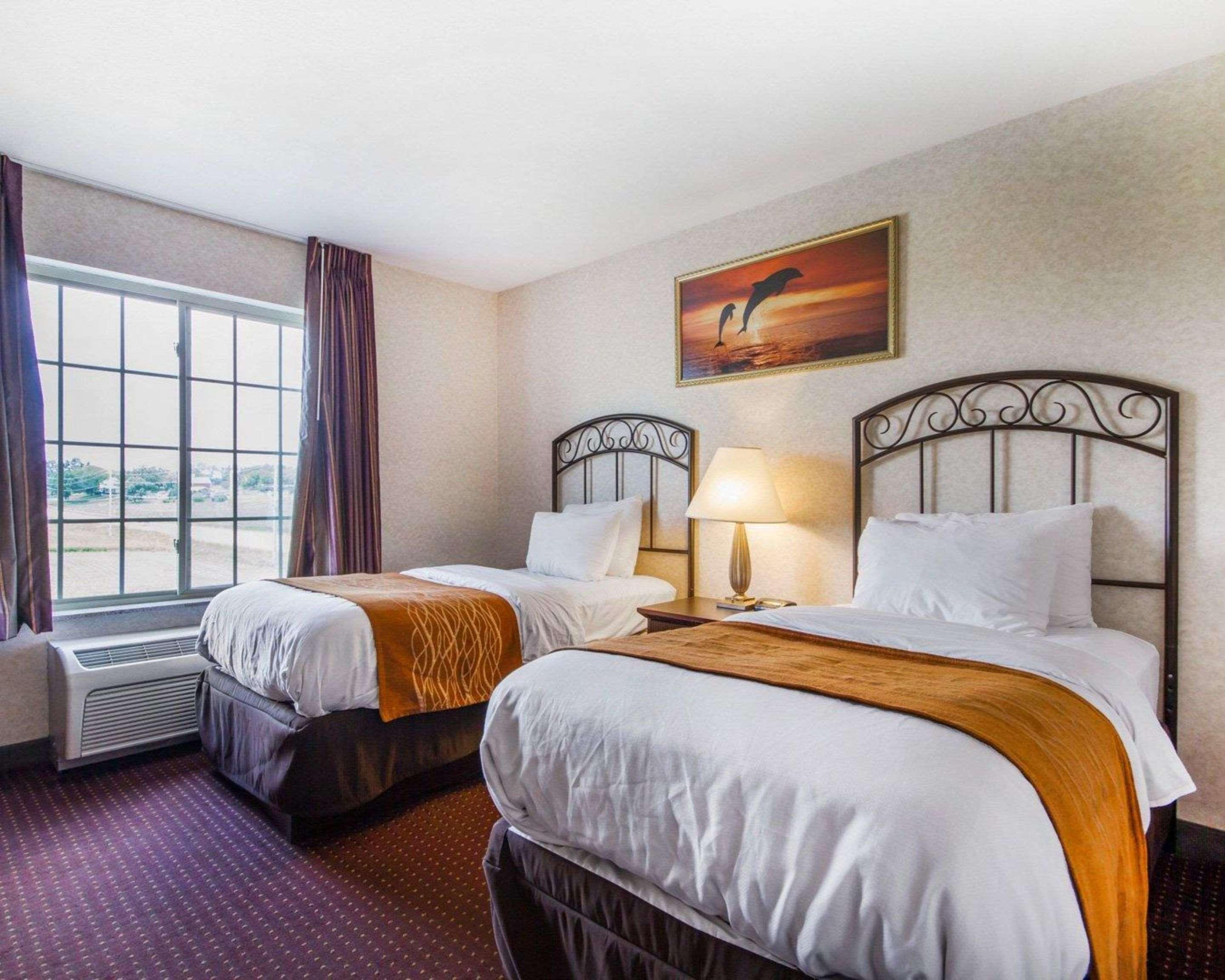 Deforest Comfort Inn & Suites Madison North מראה חיצוני תמונה