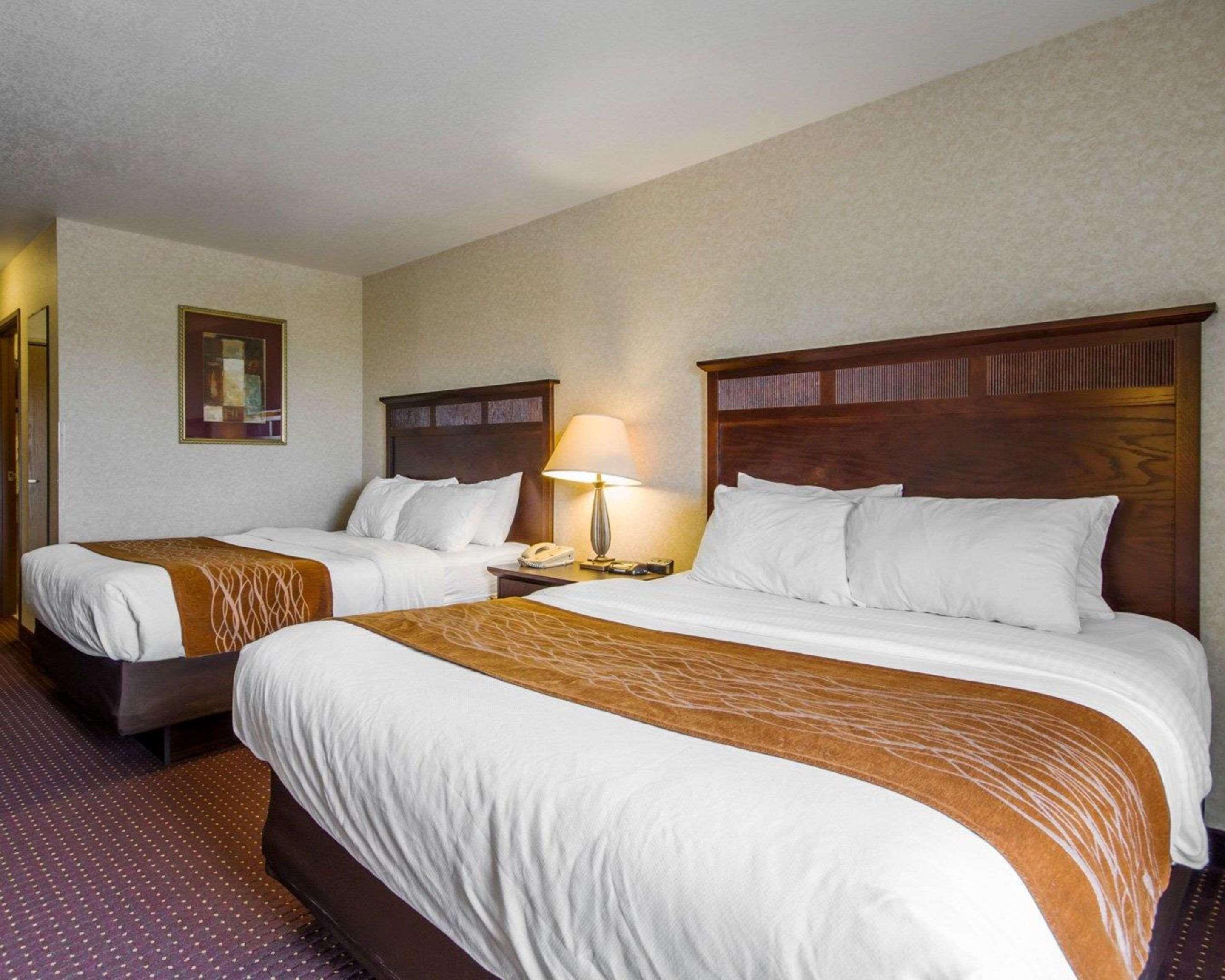 Deforest Comfort Inn & Suites Madison North מראה חיצוני תמונה