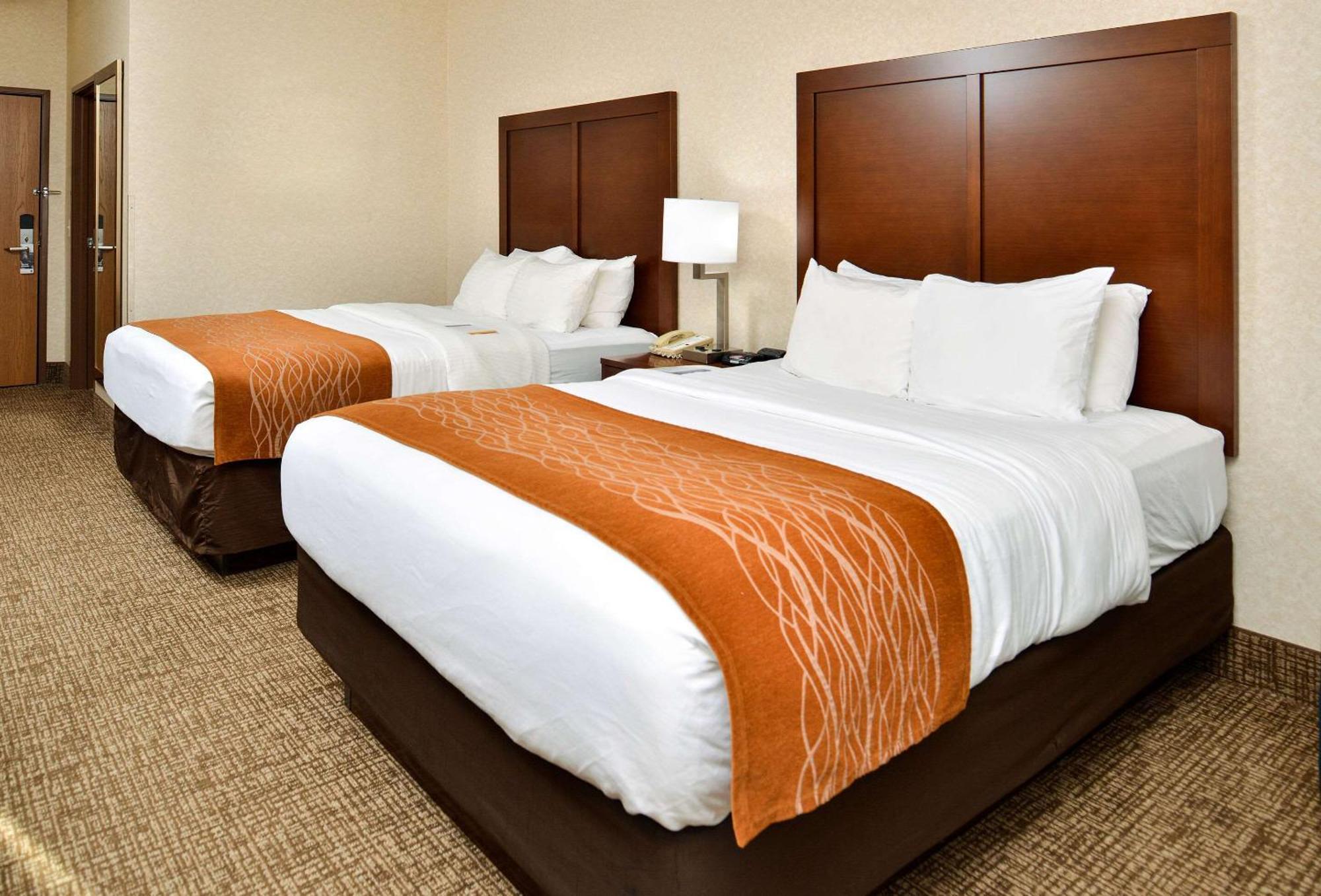 Deforest Comfort Inn & Suites Madison North מראה חיצוני תמונה