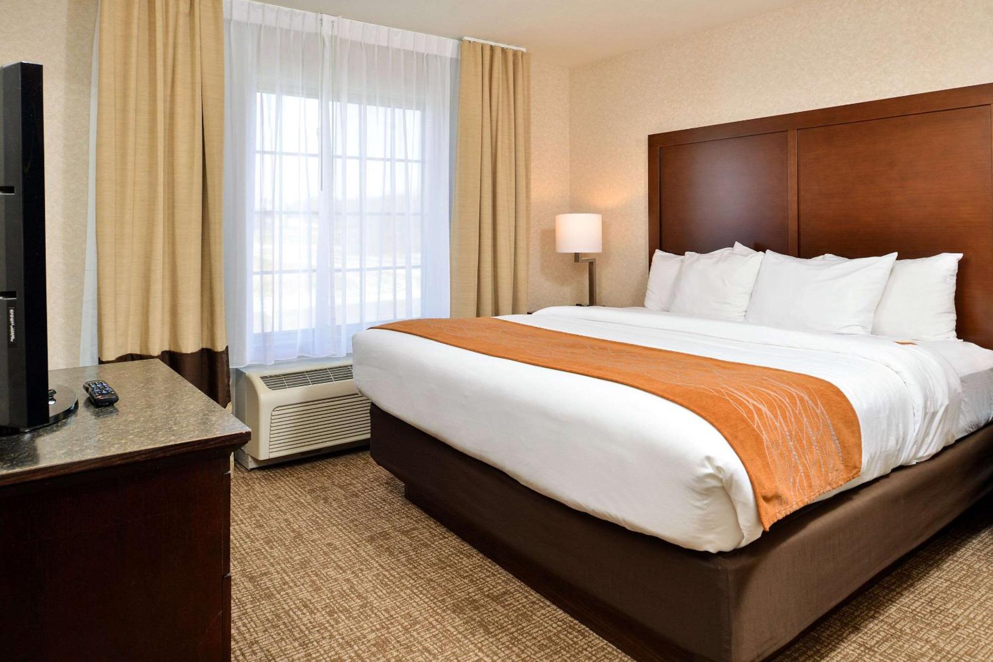 Deforest Comfort Inn & Suites Madison North מראה חיצוני תמונה